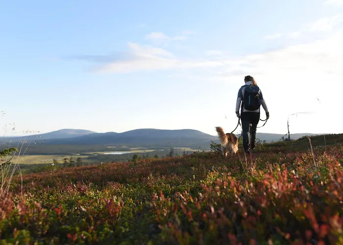 Yllaestokka 2 Дом отдыха